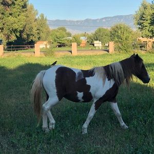 Meet your Posher, Claudia